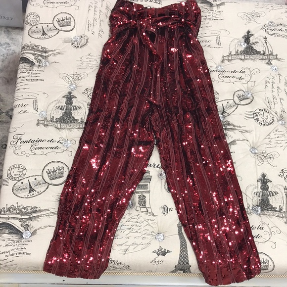 💎🔥SALLY LAPOINTE Striped Belted Sequined Pants - Picture 8 of 13